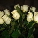 ���� Miasnik, ������, 70 ��� - ��������� 29 ������ 2021 � ������ ������ ��������