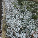  ,  , 47  -  17  2020    