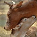 ���� �������, �����������, 51 ��� - ��������� 23 ������� 2020 � ������ ������ ��������