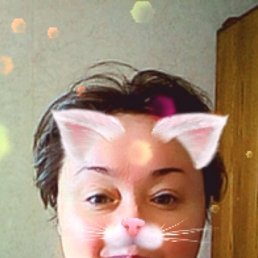 ���������, �����-���������, 49 ���