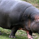 ���� ������, ����, 44 ���� - ��������� 21 ������� 2020 � ������ ���� ����������