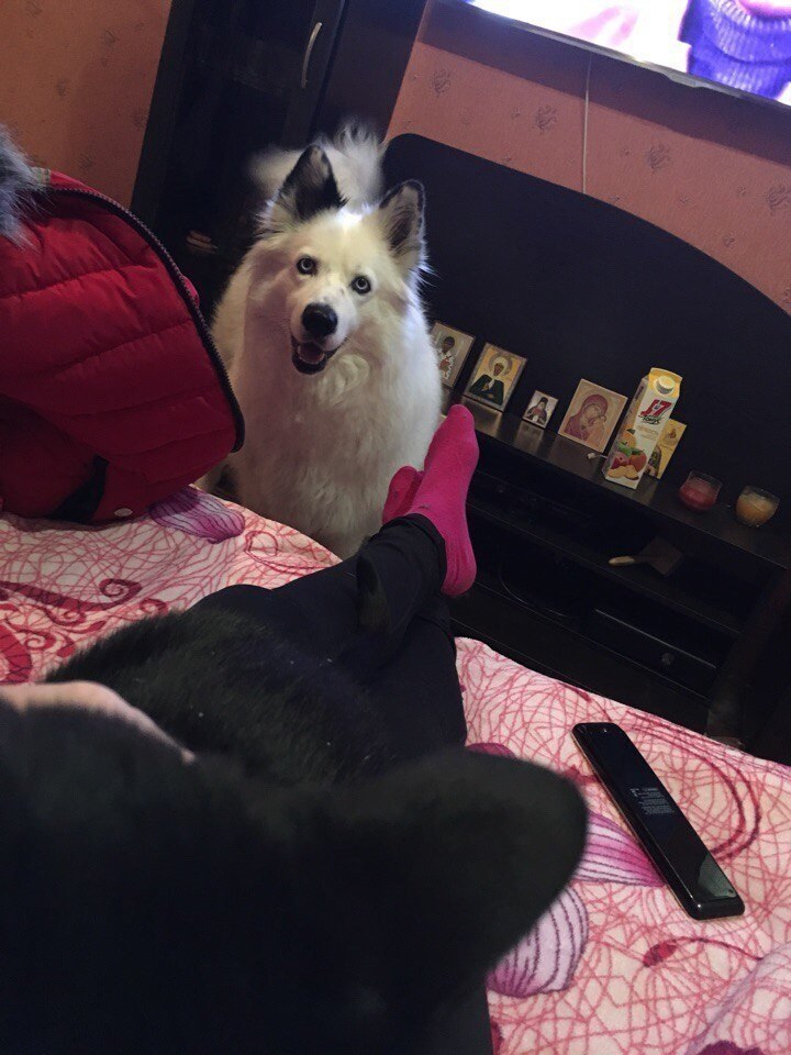 ������� ���