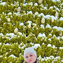 ���� ������, ����������, 45 ��� - ��������� 9 ������ 2021 � ������ ���� ����������