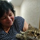 ���� �����, �����-��������� - ��������� 7 ������ 2020 � ������ ���� ����������