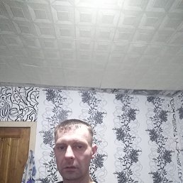 ����, �����-���������, 38 ���