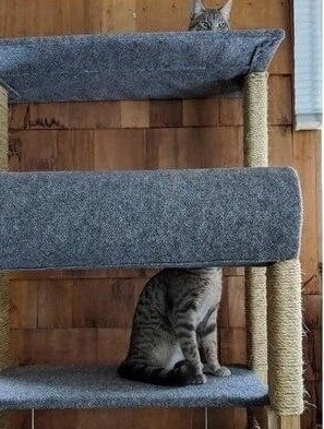 Тaкиe coвпадeния бывaют раз в жизни - 5