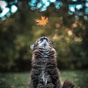 ���� ������, ����� - ��������� 23 ����� 2021 � ������ ���� ����������