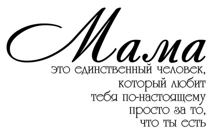 29  -  .   