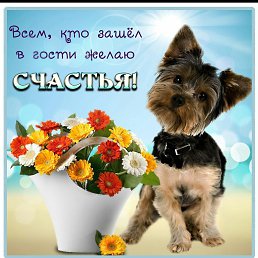 �����, ������������, 43 ����