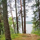 ����� �� ������� ���� ����������