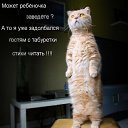 ���� ��������, ���������, 69 ��� - ��������� 19 ������� 2020 � ������ ���� ����������