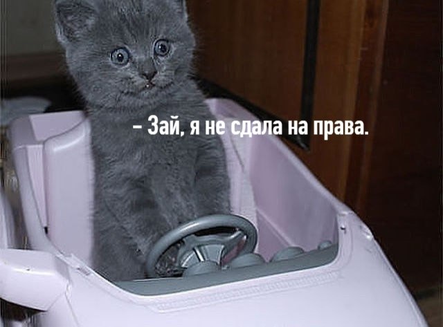       - 7  2020  18:42