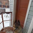 ���� ��������, ������, 71 ��� - ��������� 3 ������ 2021 � ������ ������ ��������