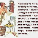 ���� ������, ����-����������� - ��������� 20 ������� 2020 � ������ ������ ��������