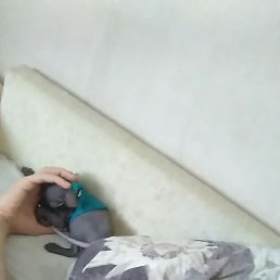 ����������, �����������, 38 ���