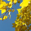  ,  -  18  2020    2020.