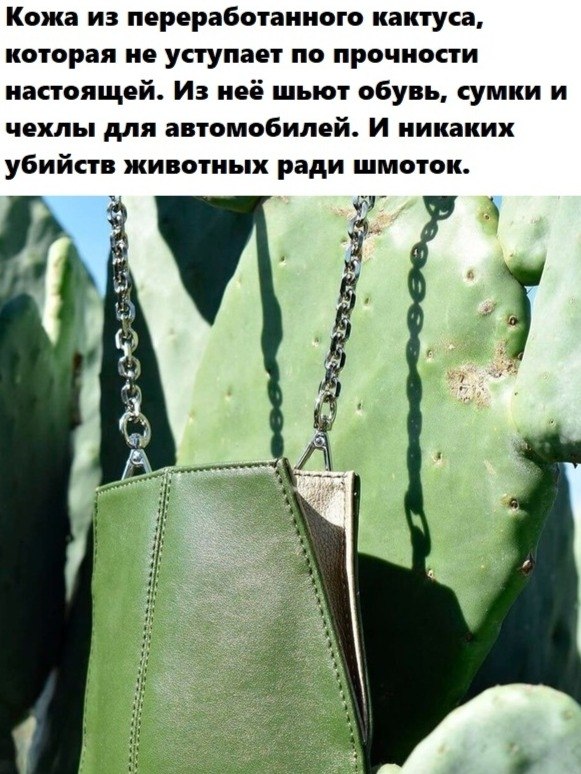 BEST | , ,  - 17  2020  19:07