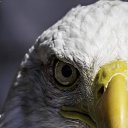 ���� ������, ����-����, 57 ��� - ��������� 27 ������ 2021 � ������ ������ ��������