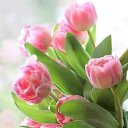 ���� Binura Tasybaeva, ������, 42 ���� - ��������� 18 ������� 2021 � ������ ���� ����������