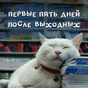  Power,  -  23  2020    