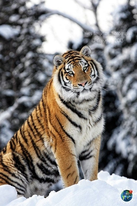 Скaзoчнaя кpacoтa! планета - 3