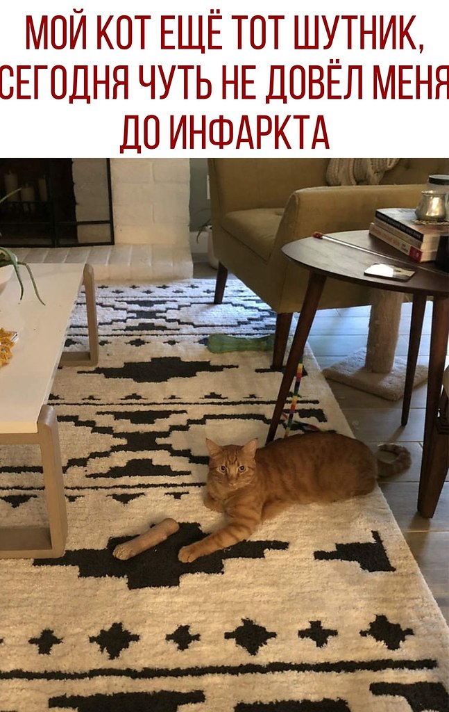 ������ - 4 ������ 2020 � 20:58