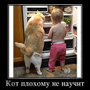 ���� ���� �����������, ������������, 58 ��� - ��������� 24 ������� 2020 � ������ ���������