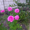 ���� Denis, �������� - ��������� 6 ������ 2020 � ������ ������ - ���� ))�