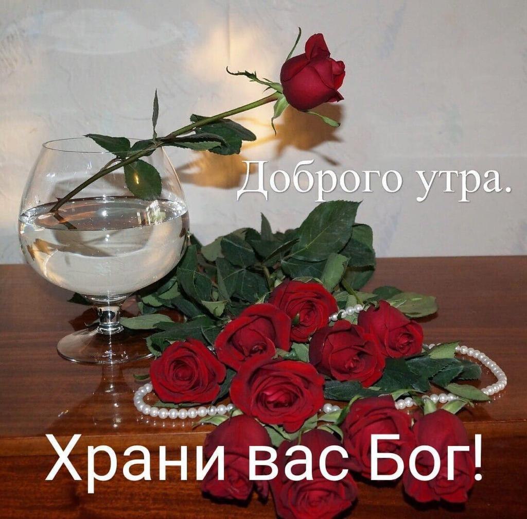 ***Victoria Viktorovna*** - 18  2021  06:59 - 4
