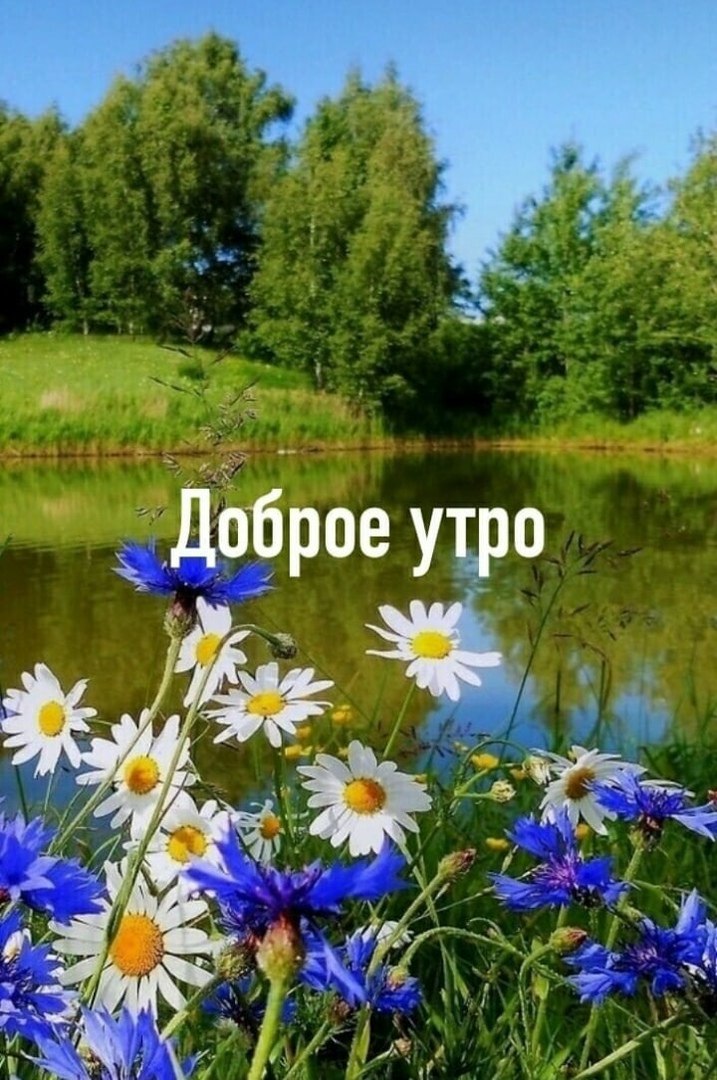  - 8  2020  04:34