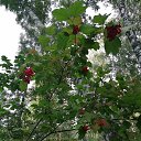 ���� �������, �����, 60 ��� - ��������� 24 ������� 2020 � ������ ������ ��������