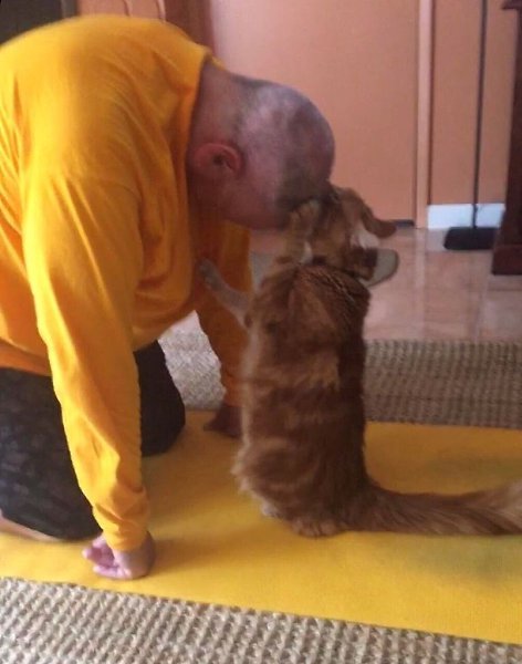 Папы, кoтopыe кoгда-тo сказaли: «Никaких кoтов в дoме» - 8