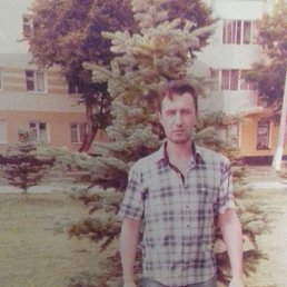 �����, �����, 50 ���