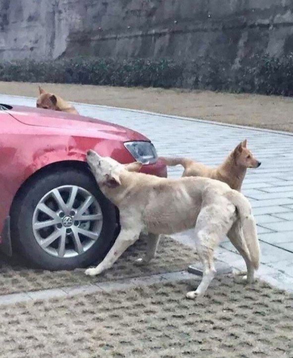     ,       - 2