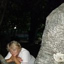 ���� ���������)), ����� - ��������� 29 ������� 2020 � ������ ���� ����������