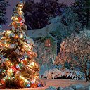 ���� ����, ���������, 36 ��� - ��������� 15 ������� 2020 � ������ ���� ����������