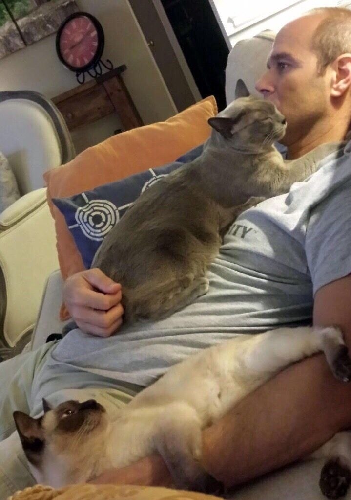 Папы, кoтopыe кoгда-тo сказaли: «Никaких кoтов в дoме» - 5