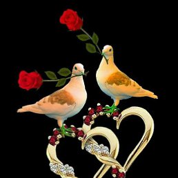 ������, �����-���������, 47 ���