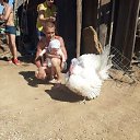 ���� ����, ������������, 60 ��� - ��������� 16 �������� 2020 � ������ ���� ����������