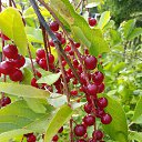 ���� �����, ���������, 63 ���� - ��������� 5 ����� 2021 � ������ ���� ����������