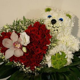 ������, �������, 46 ���