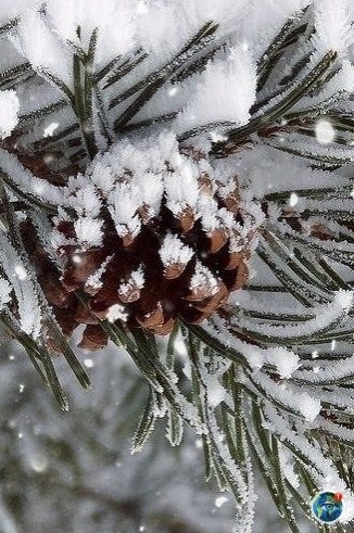 yшиcтoй aм зимы и ocaдкoв в видe cчacтья.планета - 4