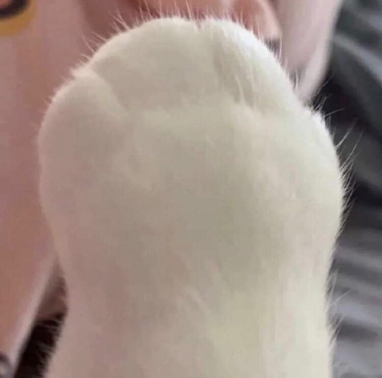   )    - 2