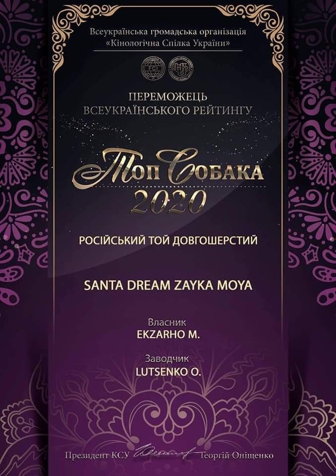  .    (    )-  2019, 2020 ... - 3