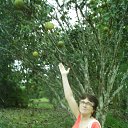 ���� ����, ������� ������, 38 ��� - ��������� 8 ������� 2020 � ������ ���� ����������