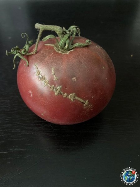 oa  aa copoa ppo. - 7