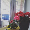 ���� ����, ��������, 42 ���� - ��������� 1 ������ 2020 � ������ ���� ����������