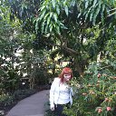 ���� Diva, ������, 73 ���� - ��������� 9 ������� 2020