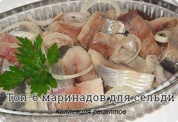 #рыба.Cеледочку можно замариновать не только в смеси уксуса и растительного масла... Множество ...