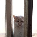 ���� ������, ����-�����������, 59 ��� - ��������� 29 �������� 2020 � ������ ������ ��������